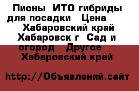 Пионы -ИТО гибриды для посадки › Цена ­ 900 - Хабаровский край, Хабаровск г. Сад и огород » Другое   . Хабаровский край